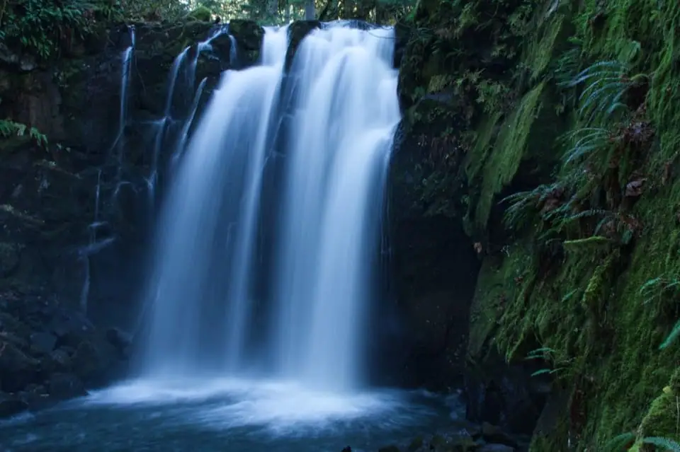 Cachoeira no meio da mata