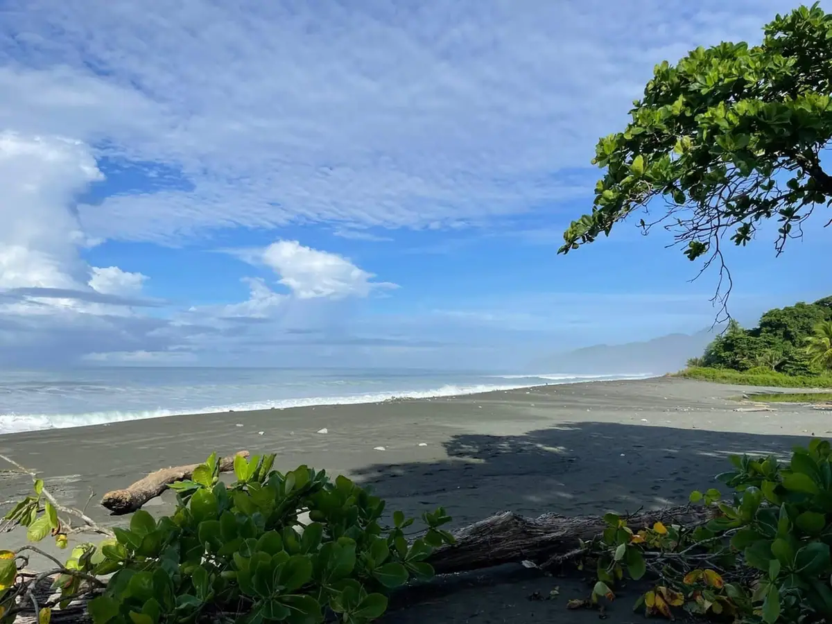 Praia deserta com morros de mata atlântica